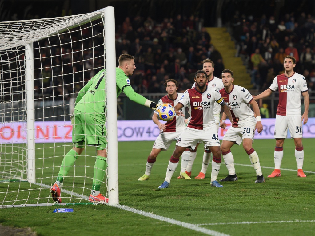 阵巴西的比 阵巴西的比